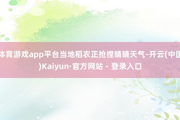 体育游戏app平台当地稻农正抢捏晴晴天气-开云(中国)Kaiyun·官方网站 - 登录入口