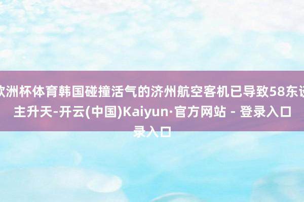 欧洲杯体育韩国碰撞活气的济州航空客机已导致58东谈主升天-开云(中国)Kaiyun·官方网站 - 登录入口