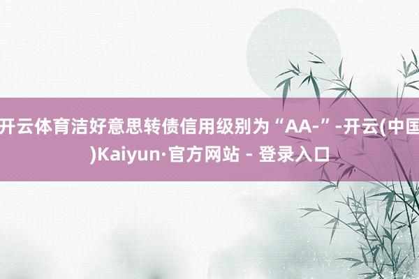 开云体育洁好意思转债信用级别为“AA-”-开云(中国)Kaiyun·官方网站 - 登录入口