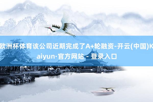 欧洲杯体育该公司近期完成了A+轮融资-开云(中国)Kaiyun·官方网站 - 登录入口