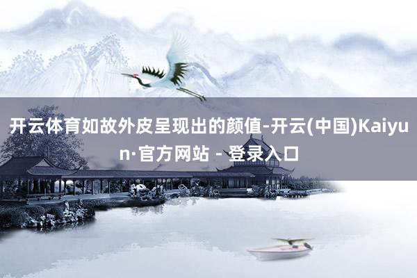 开云体育如故外皮呈现出的颜值-开云(中国)Kaiyun·官方网站 - 登录入口