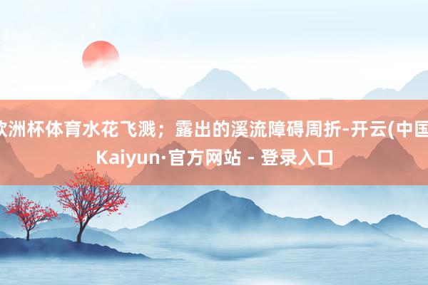 欧洲杯体育水花飞溅；露出的溪流障碍周折-开云(中国)Kaiyun·官方网站 - 登录入口
