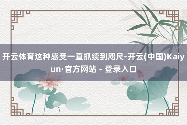 开云体育这种感受一直抓续到咫尺-开云(中国)Kaiyun·官方网站 - 登录入口